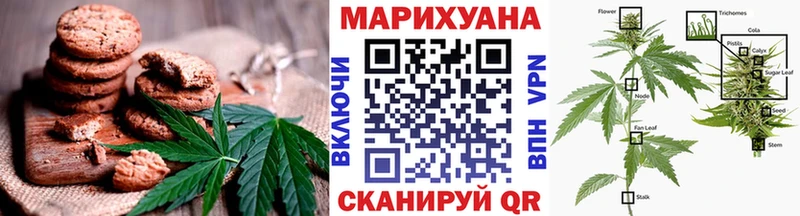 KRAKEN   Мытищи  Cannafood конопля 