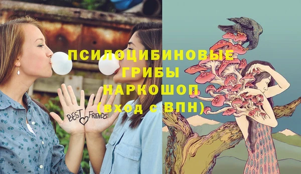 ГАЛЛЮЦИНОГЕННЫЕ ГРИБЫ Аркадак