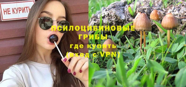 ГАЛЛЮЦИНОГЕННЫЕ ГРИБЫ Аркадак