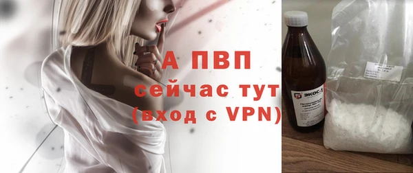 спайс Арсеньев