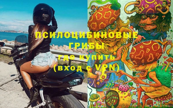 гашик Алзамай
