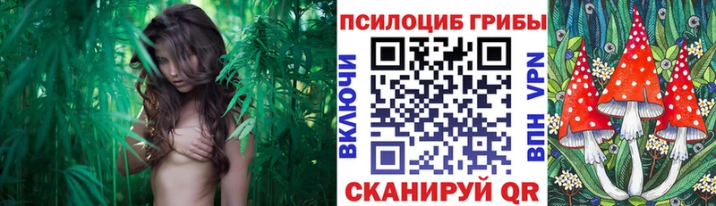 blacksprut ONION закладки Мытищи Галлюциногенные грибы мухоморы